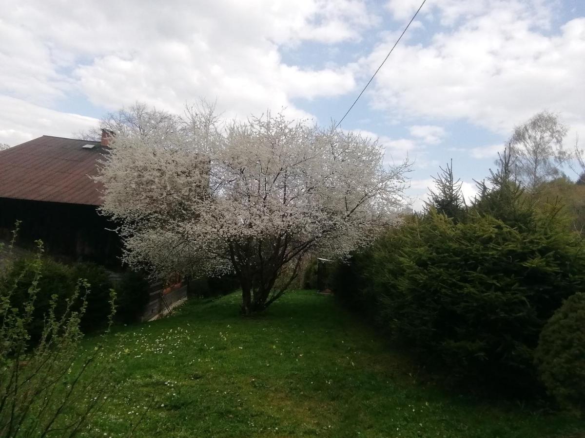 Hotel Rzeczne Zacisze Ustrzyki Dolne Exterior foto